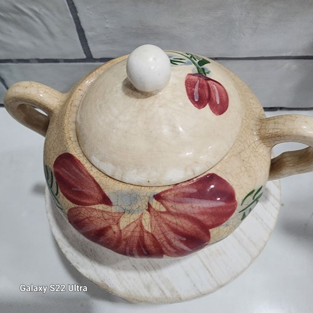 Blue Ridge Hand Painted Underglaze Crab Apples Sugar Bowl. Very Old - Picture 2 of 13